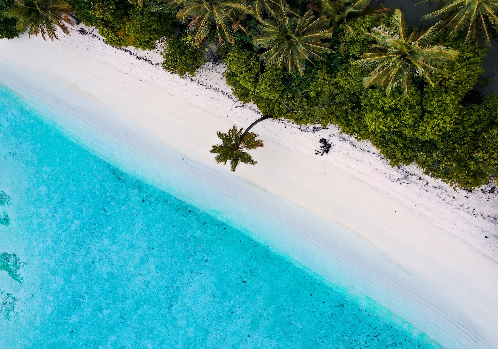 BVI Caribbean Tropical Beach Grid