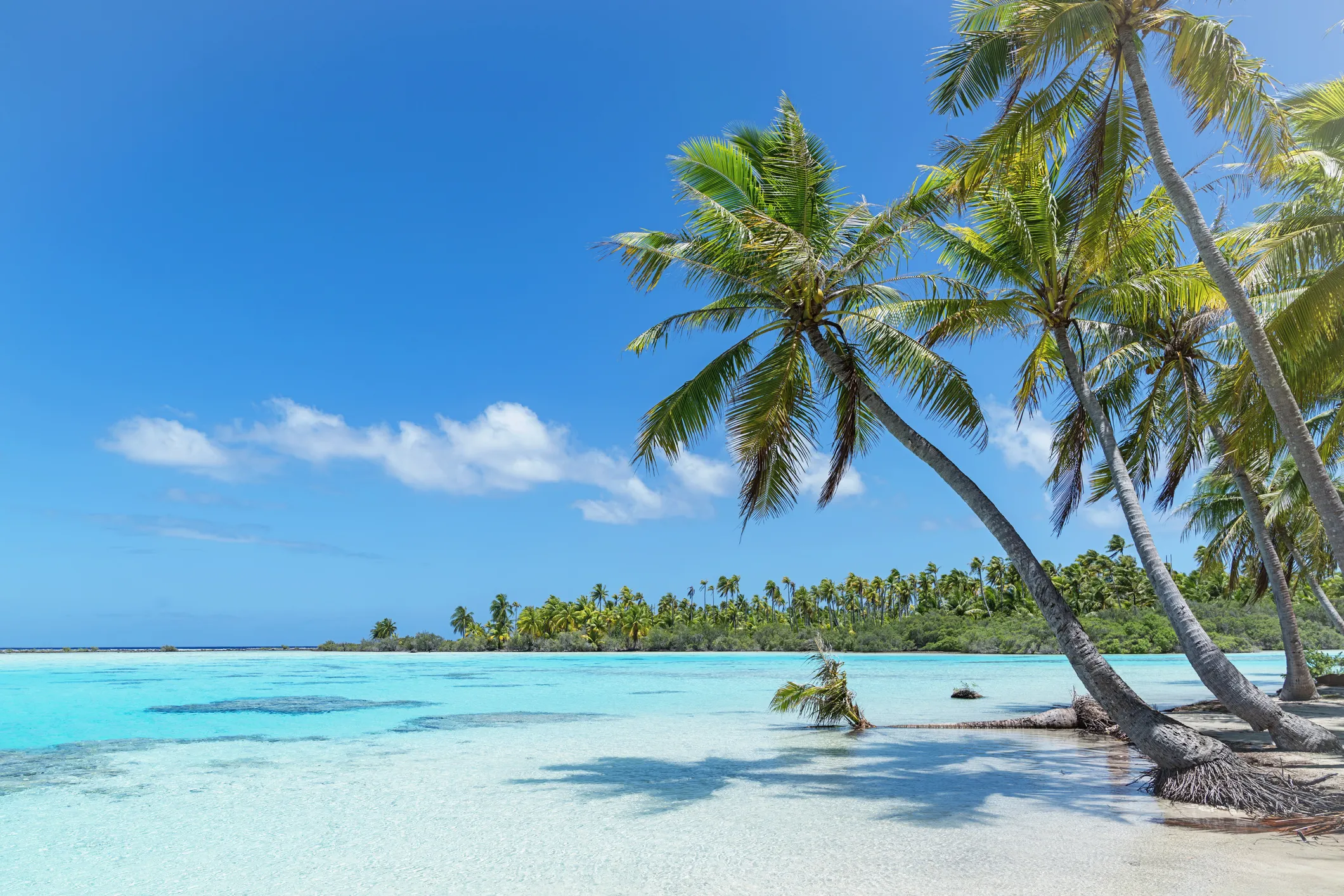 Tuamotu Islands 7 day Sailing Itinerary French Polynesia tuamotu-islands-7-day-sailing-itinerary-french-polynesia