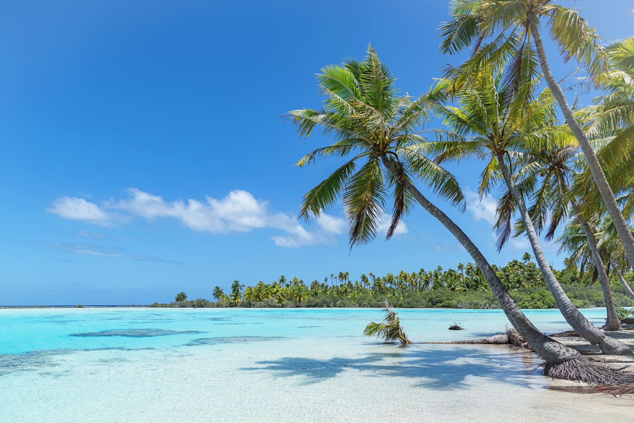 Tuamotu Islands 7 day Sailing Itinerary French Polynesia Tuamotu Islands 7 day Sailing Itinerary French Polynesia